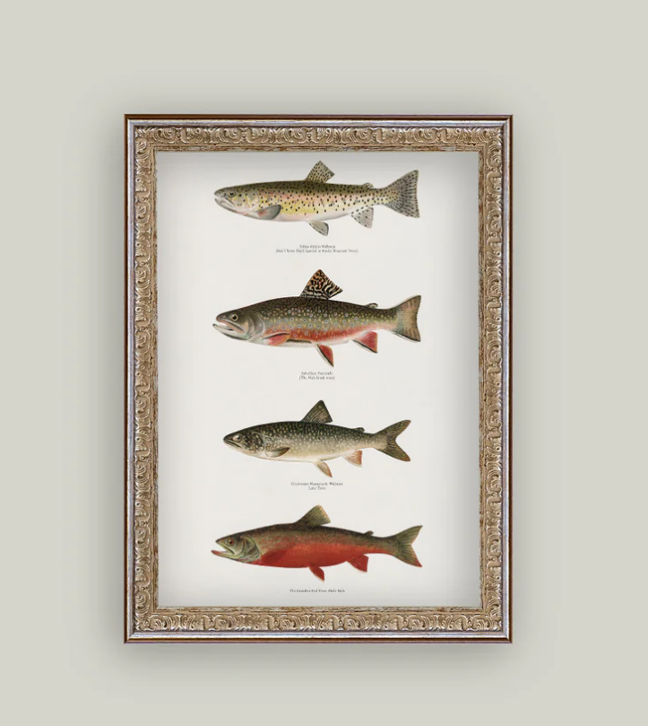 キャスティークトラウトvintage castaic orignal trout calfishing.com - Castaic Soft Bait Inc. - Castaic Trout Review