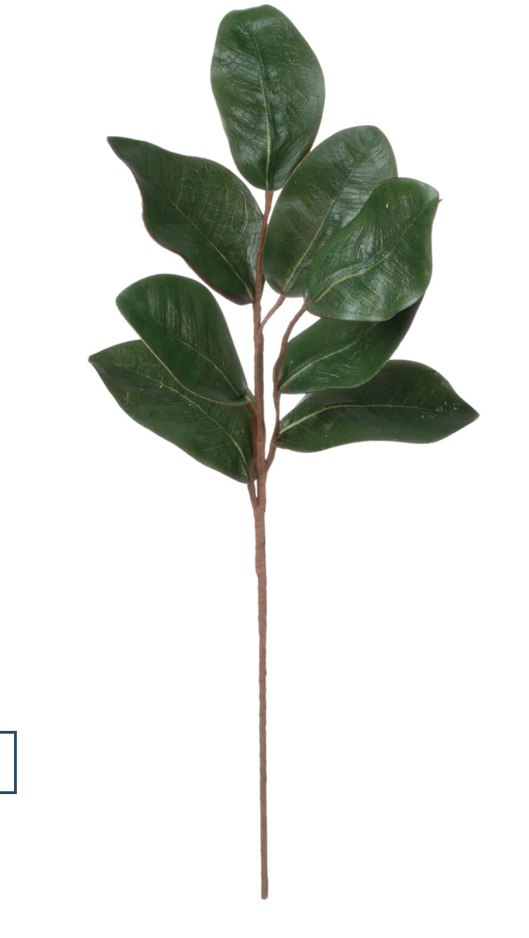 Magnolia Spray | FIDDLE & FIG